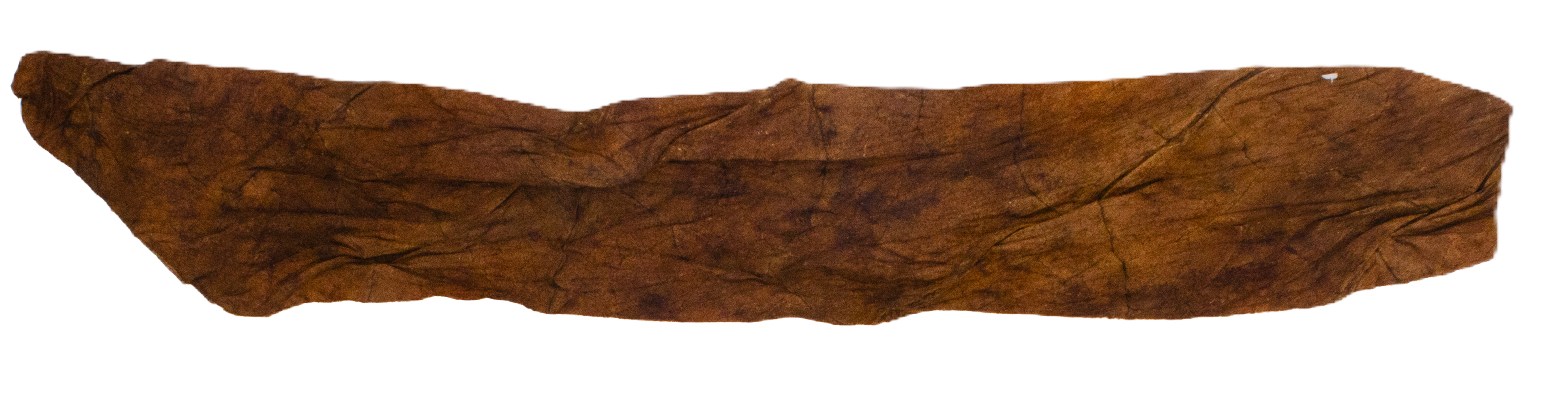 Broadleaf Palma Cigar