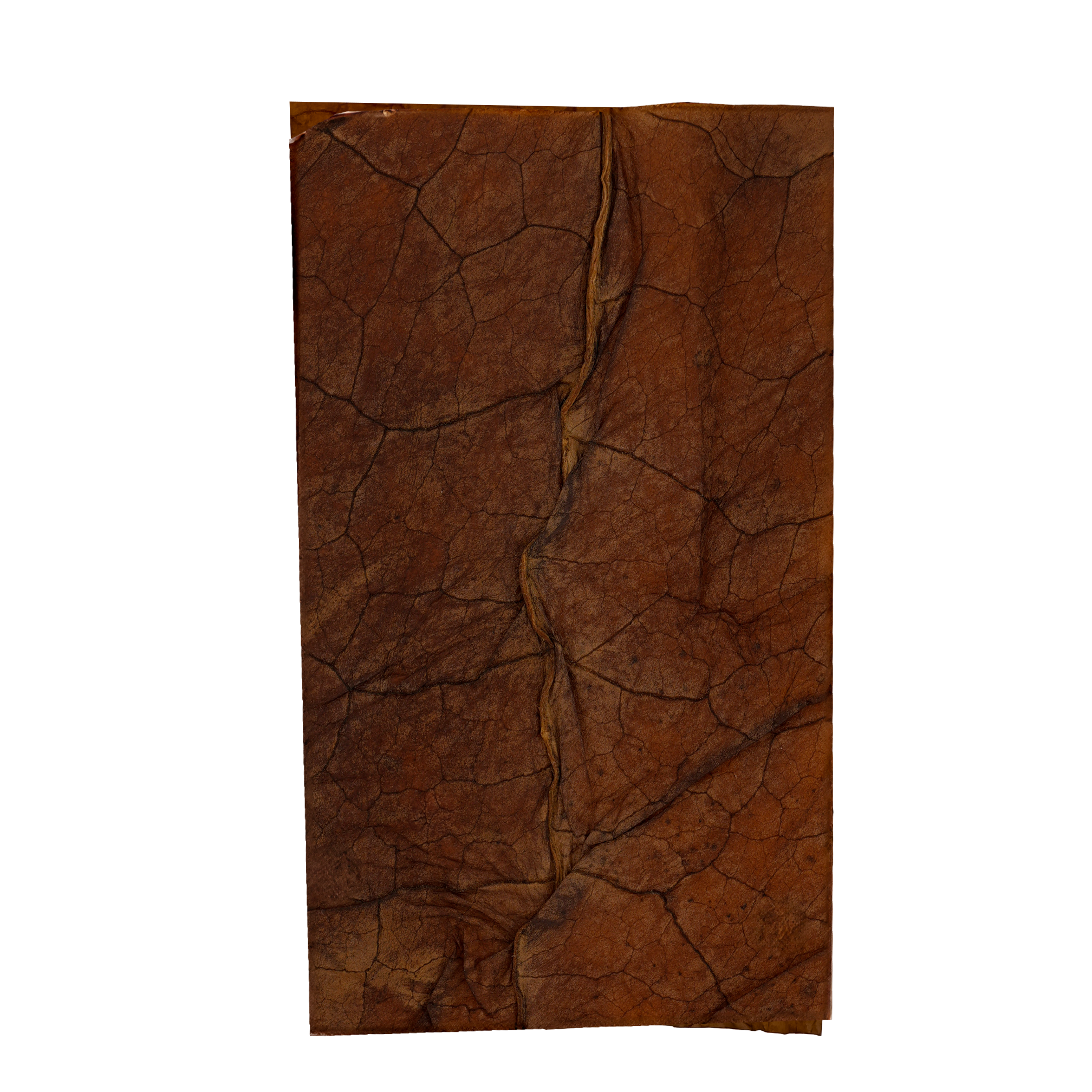 Diesel Train – Da Woods Pre-Cut Loose Leaf