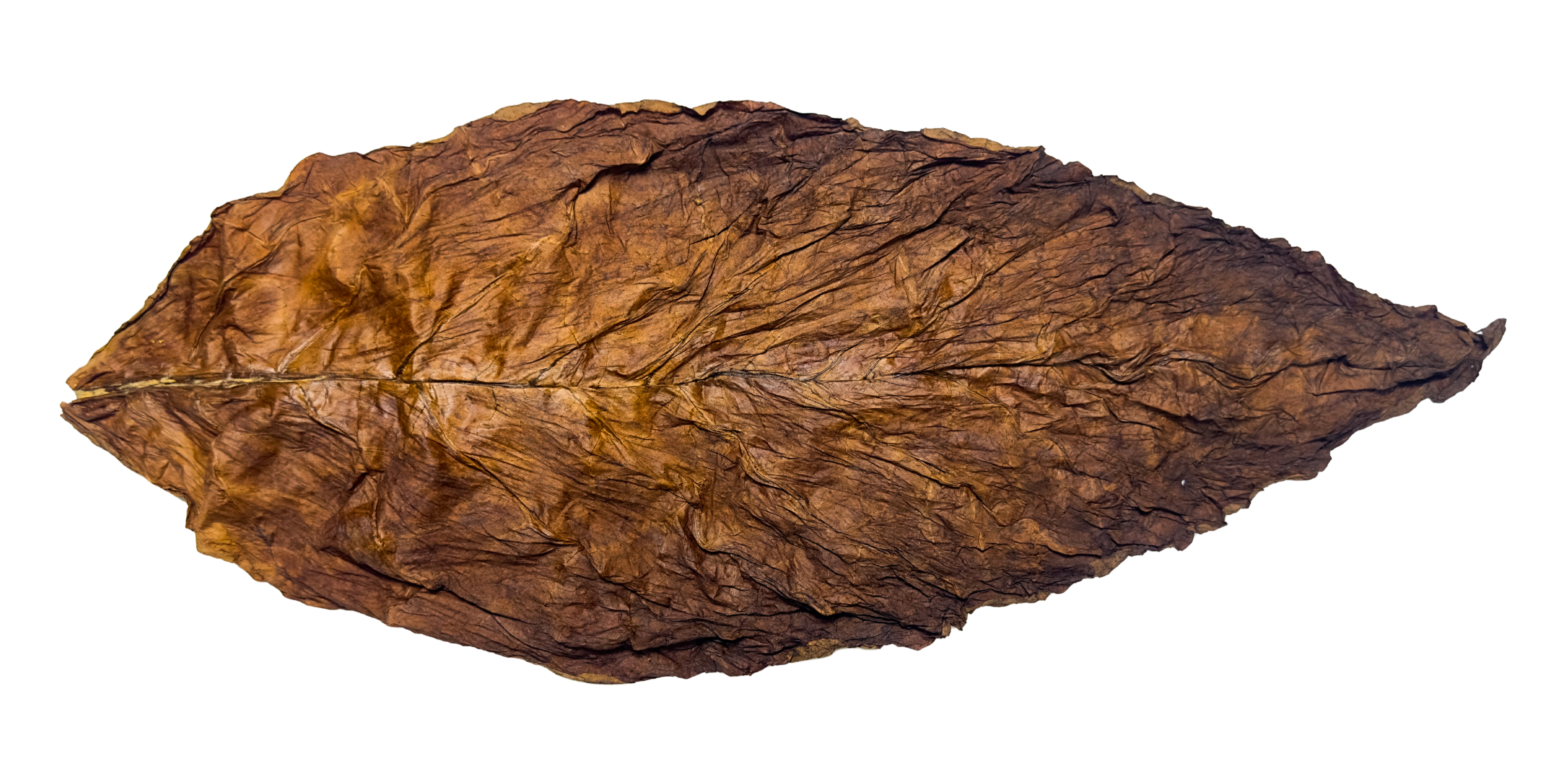 Fronto Whole Leaf