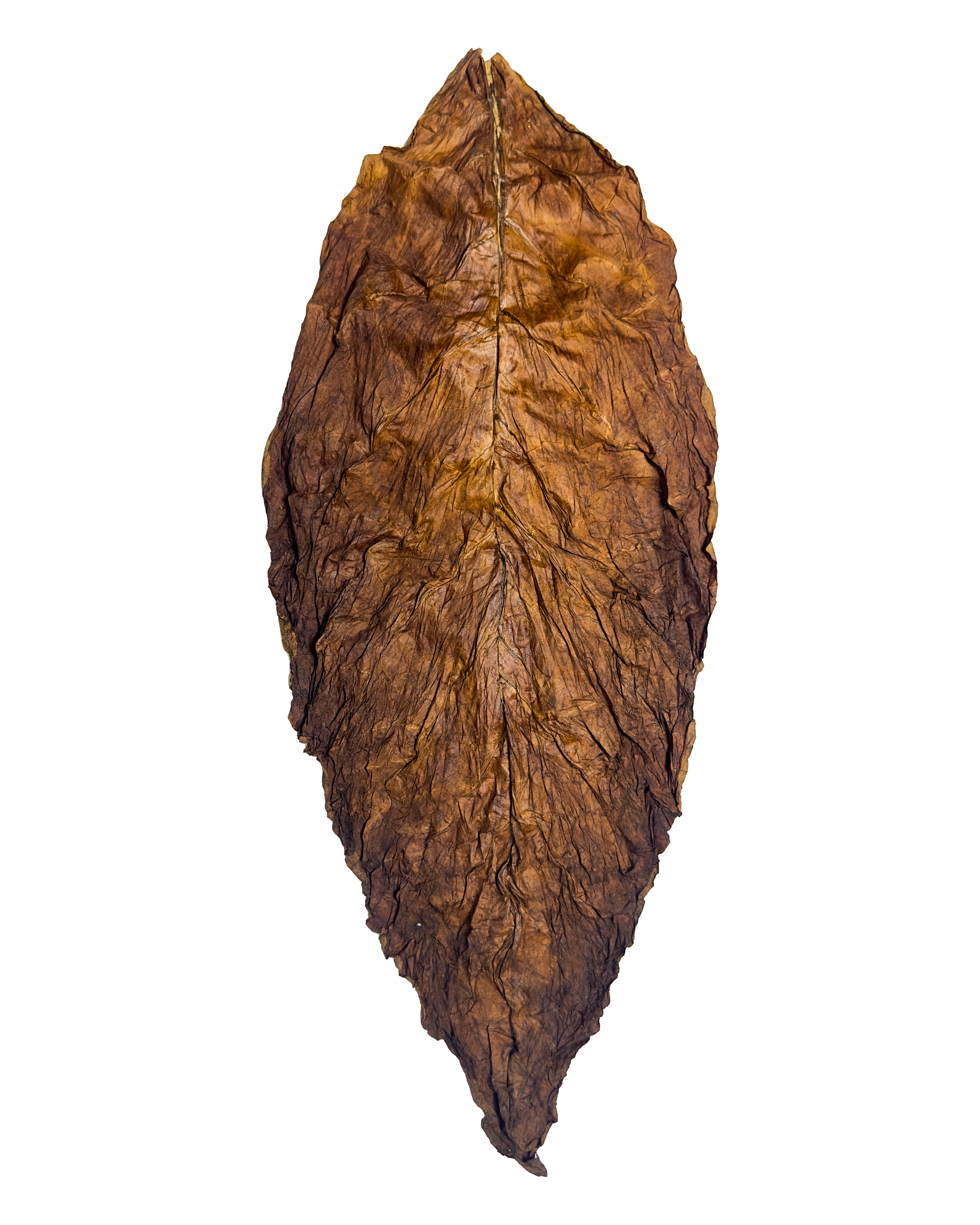 Fronto Whole Leaf